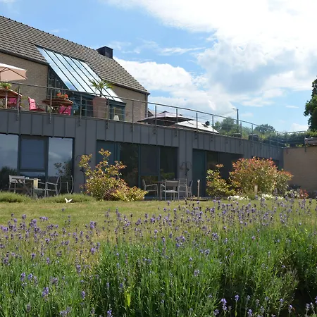 Le Bouchat-oreille Spontin